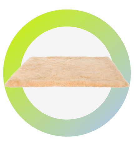 Laundry Karpet Express